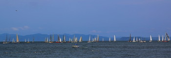 Regatta / ***