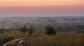 Morgendämmerung / ***