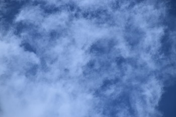 Angels Manifesting / How many beings can you see in this photo? Leave a comment and let me know.