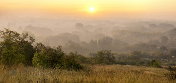 Morgendämmerung / ***