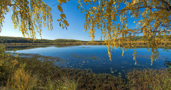 Herbst / ***