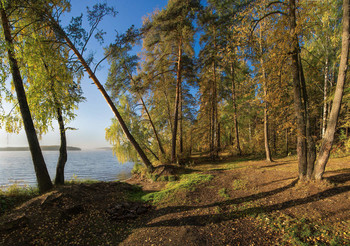 Herbst-Strand / ***