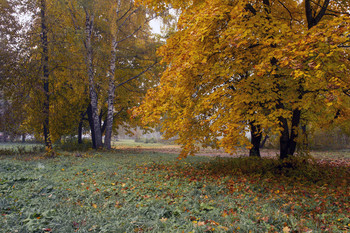 Herbstfarben / ***