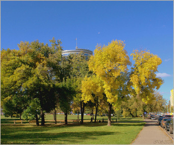 Herbst / [img]https://i.imgur.com/h0XzrNf.jpg[/img]