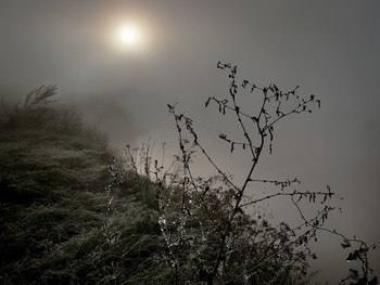 Morgen früh ... / ***