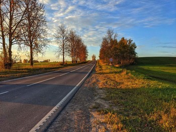 Autumn road / ***