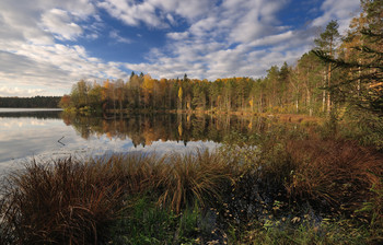 Indian Summer. / ***