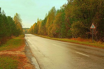 Straße zum Herbst / &quot; &quot; &quot;