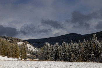 Herbst in den Bergen / ***