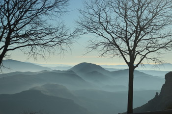 mountains in the morning with fog / mountains in the morning with fog and two bare trees in the foreground