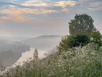 Nebel zerstreut / ***