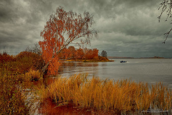 yellow gray day / cloudy autumn day on the Volga river