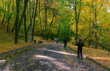 Herbst in der Stadt / ***