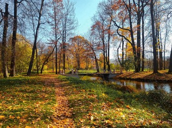 im Park / ***