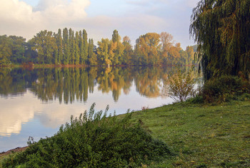 Zärtlichkeit der Natur / ***