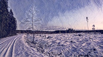 Tranquility / A peaceful winter scene from rural Finland
