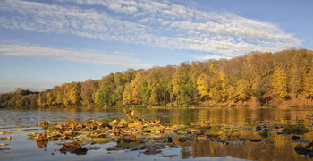 Herbst im Park. / ***
