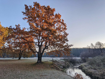 Herbst / ***