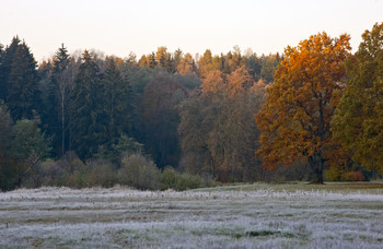 Morgendämmerung / ***
