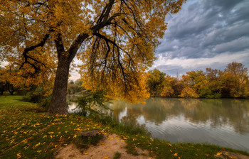 Herbstfarben / ***