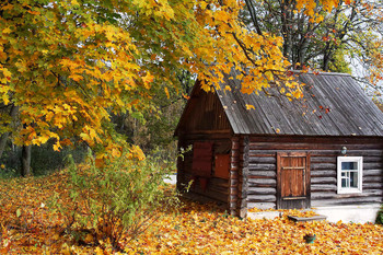 Goldener Herbst / ***