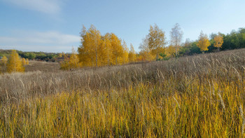 Goldener Herbst / ***