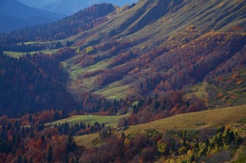 Herbstfarben / ...