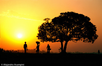 Rising sun in Lumbini / Rising sun in Lumbini region of Terai - Nepal. Regarded as the birthplace of Buddha