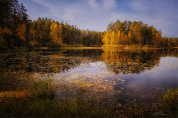 Herbstfarben / ***