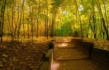 Im Herbst Park / ***