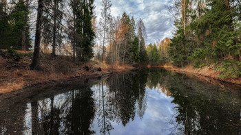 Frühlingserwachen / ***