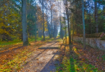 Herbst-Skizzen / ***