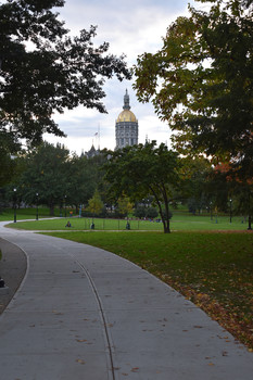 Capitol / A windy day in Bushnell Park