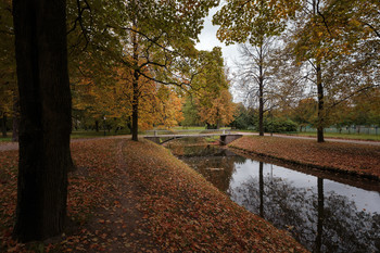 Herbst im Park ... / ***