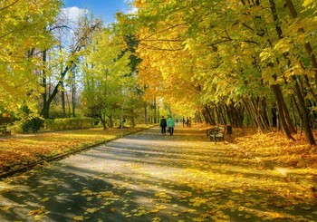 Herbst in der Stadt / ***