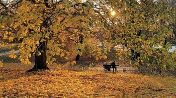 Herbst Wanderung / ***