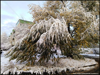 Winterflugplan / ***