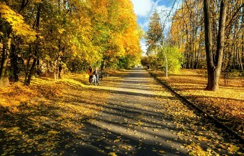 Herbst in der Stadt / ***