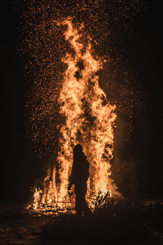 Burning / a guy burning ton of christmas trees.