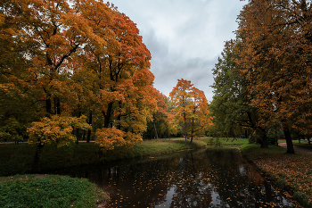 Im Herbst des Parks ... / ***