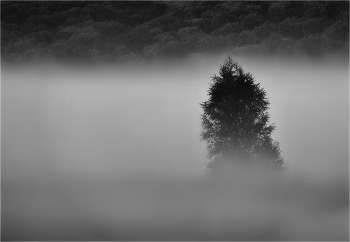 Nebel zerstreut / ***