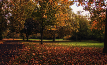 über Herbst / ***