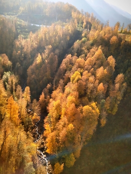Herbst in den Bergen / ***