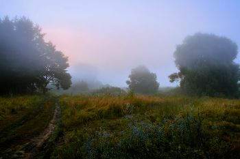 Nebel in der Morgendämmerung. / ***