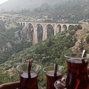 Viaduct Bridge / Drinking Turkish tea while looking at the intersection of the nature with bridge