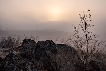 Der Geruch des Herbstes / ***