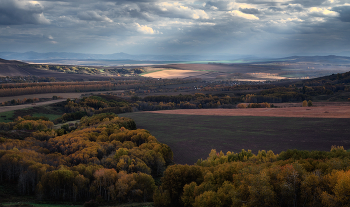 Herbst / ***