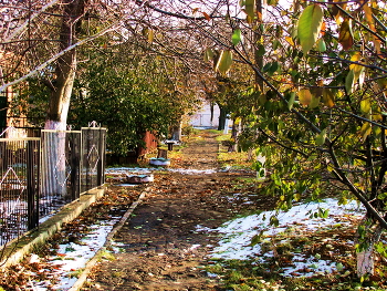 Herbstmotiv / ***