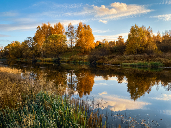 Herbstfarben / ***