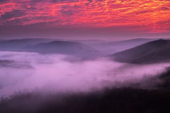 Kältesten Januar / ***